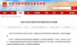 高安热点爆料最新消息,揭秘热点事件背后真相