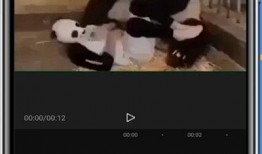 怎么爆料熊警官的人呢视频,揭秘“怎么爆料熊警官的人呢”视频背后的真相