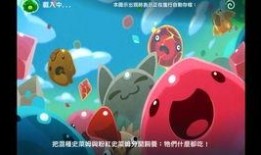 史莱姆爆料视频大全,揭秘网络红人幕后故事